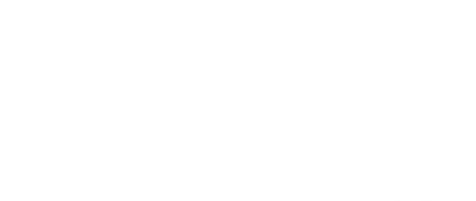 Rio Express